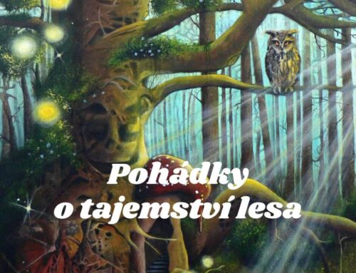 Pohádky o tajemství lesa