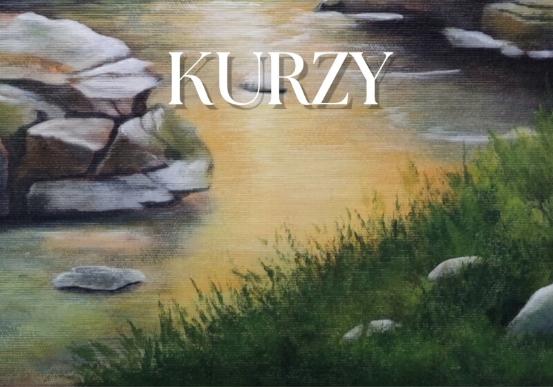 kurzy