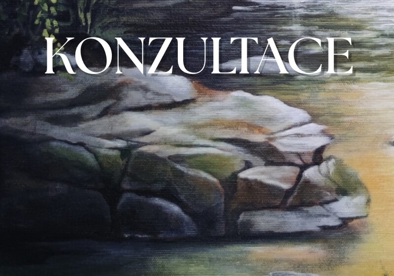 konzultace